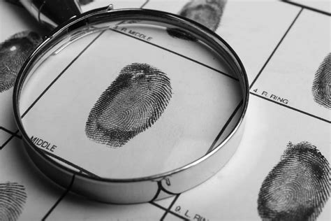 fingerprint background check